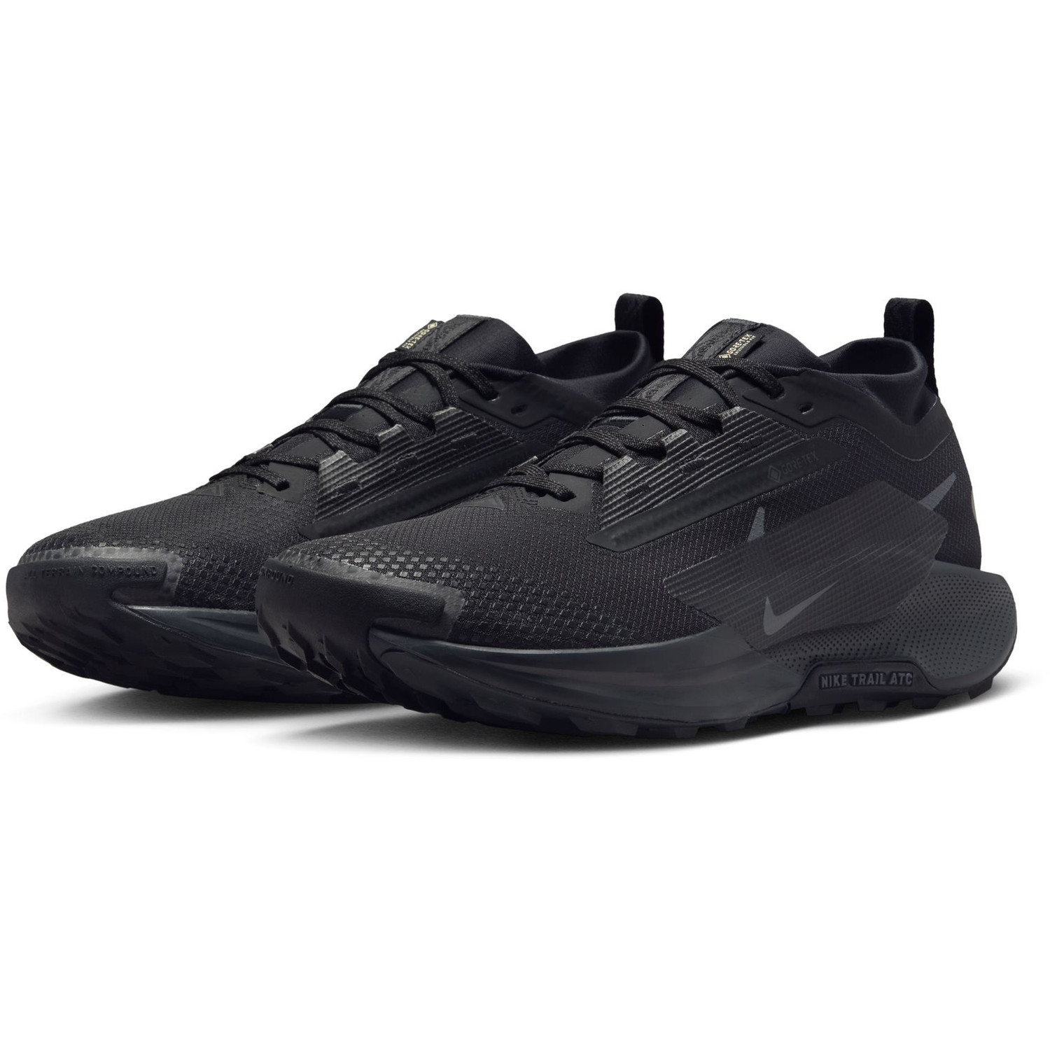 Nike Pegasus Trail 5 GTX Heren