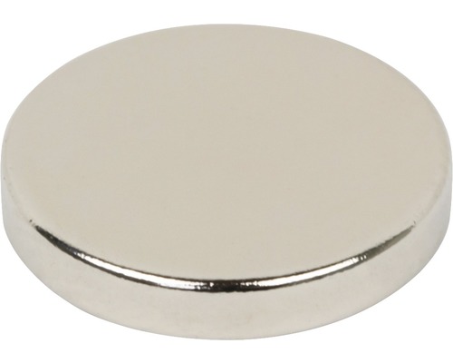 Neodymium schijfmagneet Ø 12x2 mm, 12 st.