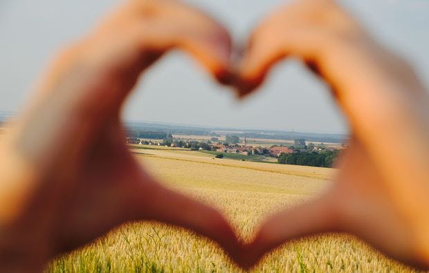 Weinseminar in Zeilitzheim - Rundfahrt & Verkostung