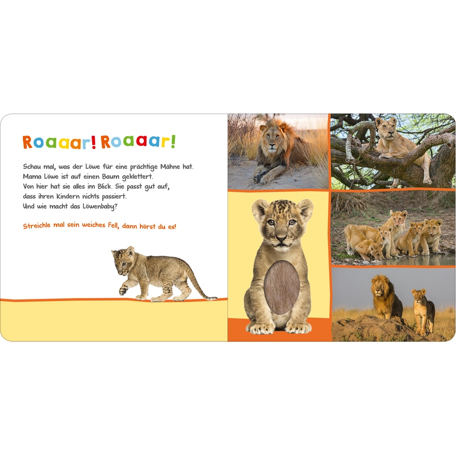 arsEdition Hör mal rein, wer kann das sein? Zootiere