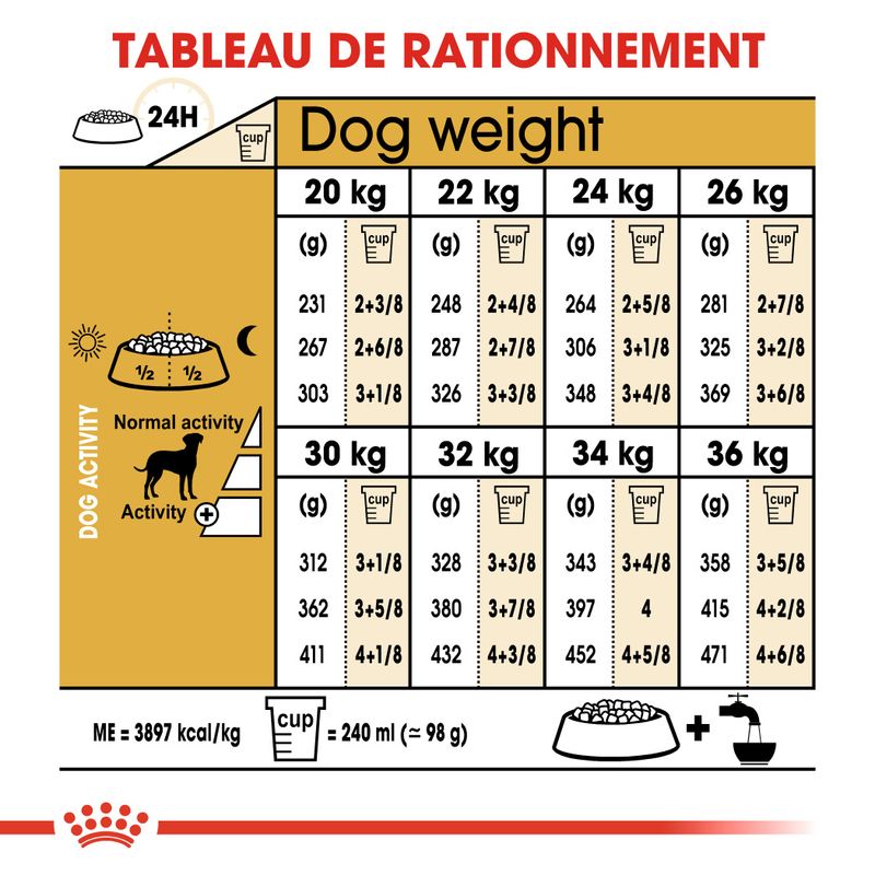 Royal Canin Dalmatien Adult à prix discount sur bitiba.fr
