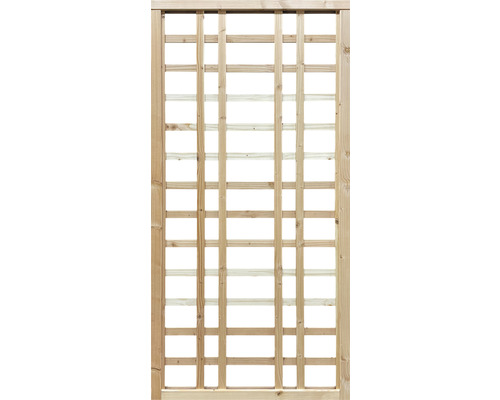 Asymmetrisch trellis 90x180 cm, onbehandeld Douglasspar