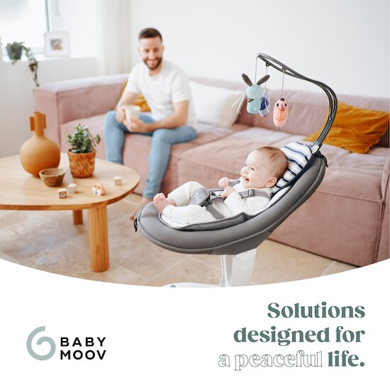Balancelle Swoon Motion 360°   Zinc        de               Babymoov