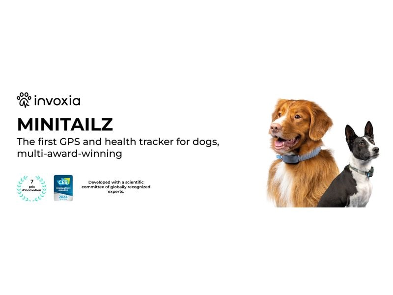 Invoxia GPS- und Gesundheitstracker Dog MiniTailz, schwarz Der fortschrittlichste GPS- und Gesundheitstracker für Hunde