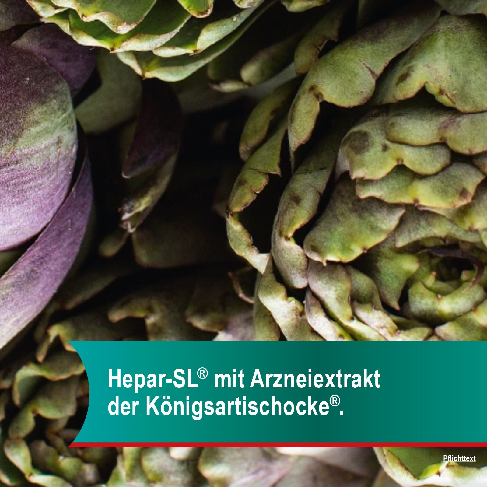 Hepar-SL® 640 mg