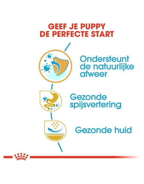 Royal Canin French Bulldog - Puppy-Hondenvoer