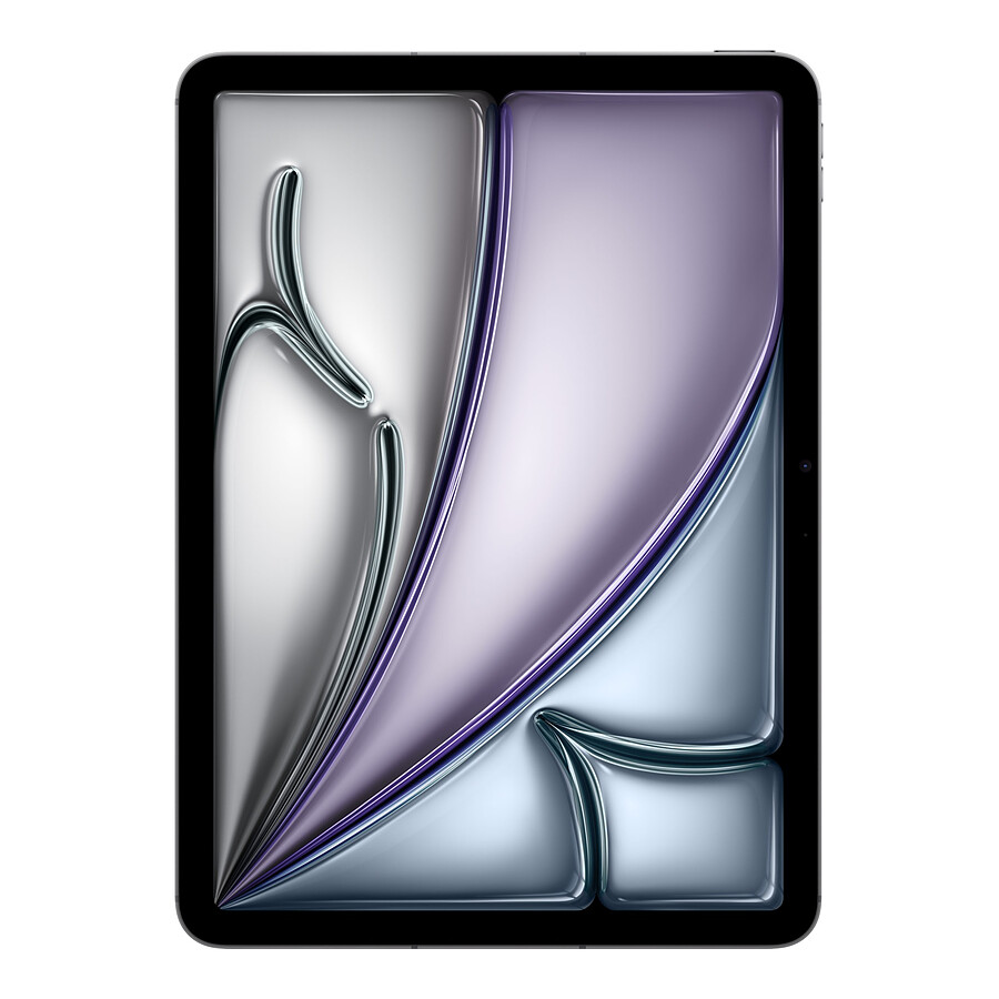 Apple iPad Air M2 2024 11 pouces Wi-Fi + Cellular - 256 Go - Gris sidéral