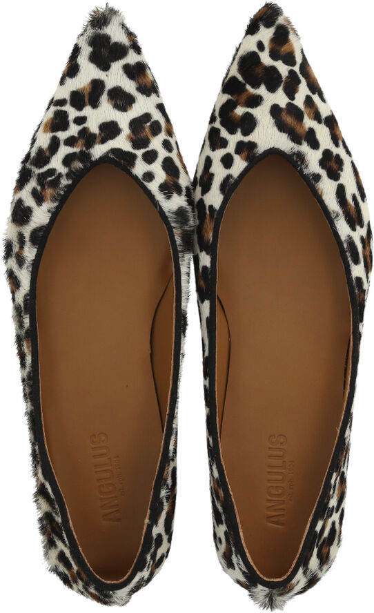 ANGULUS Spids ballerina i leopardmønstret p 3620/1163 leopard/black
