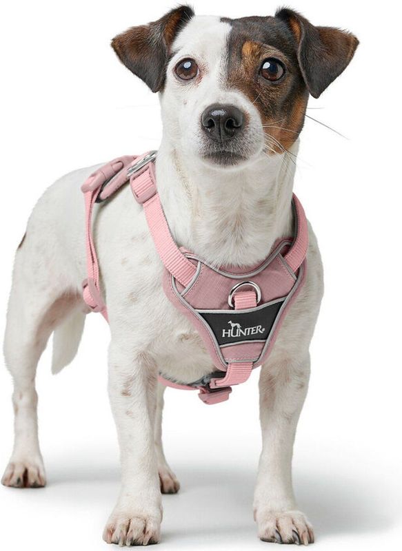 Dierenriem - Ergonomisch - Zacht Mesh - Neopreen - Reflecterend