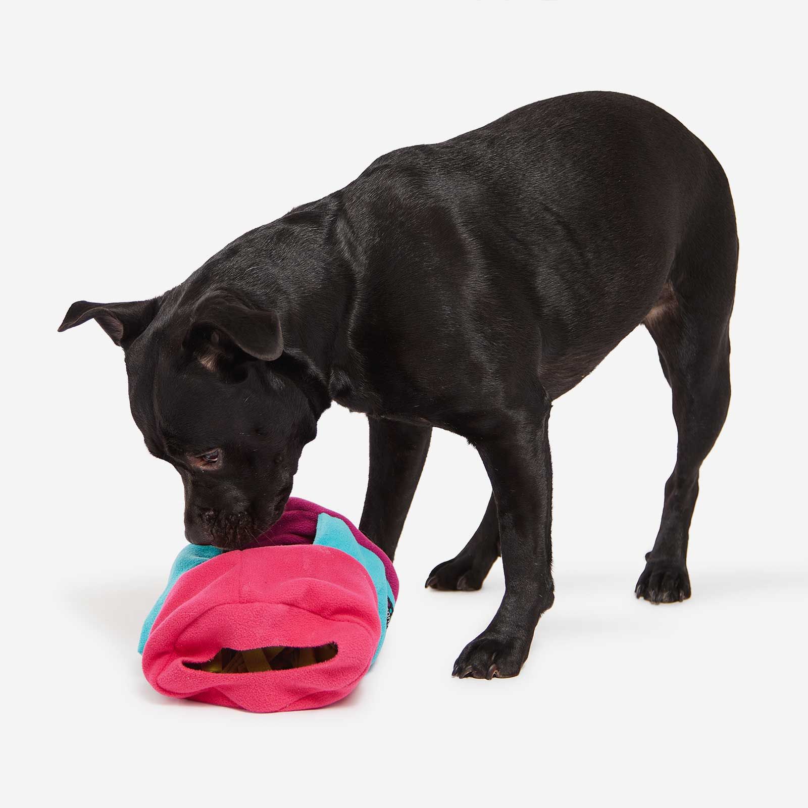 Sniffroll bunt - Knauder's Best