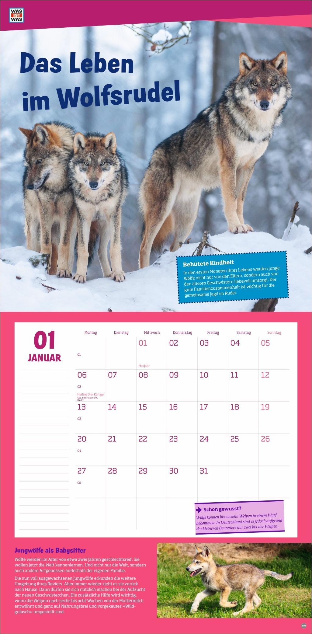 WAS IST WAS Tierwelt Broschurkalender 2025