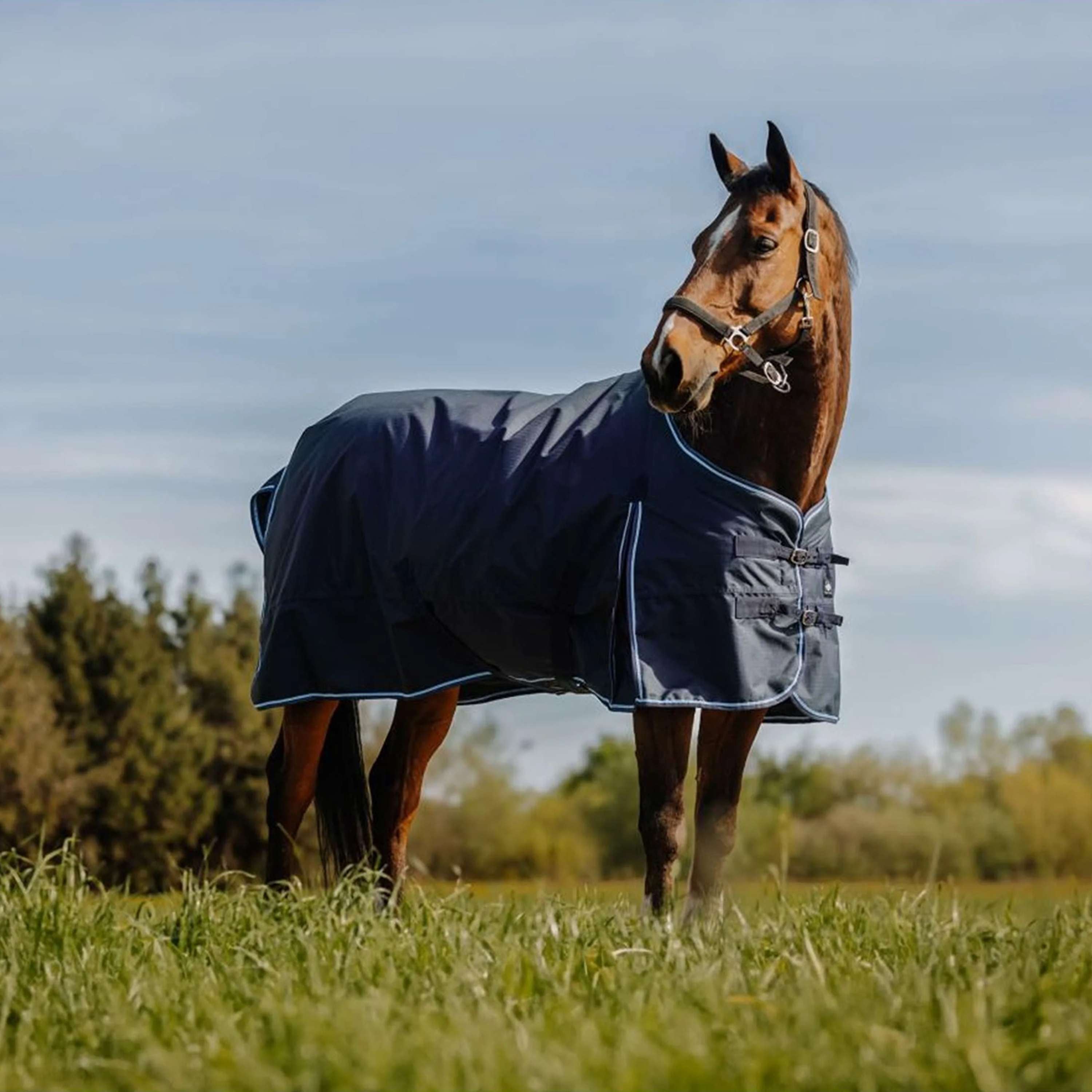 Riding World Outdoordeken Eco 600D 50g Navy