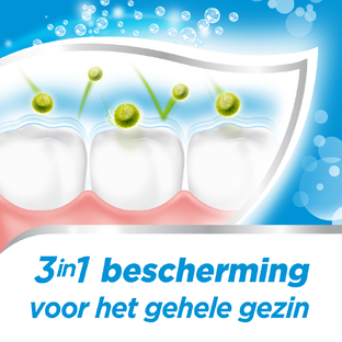 Aquafresh Tandpasta Freshmint Multiverpakking 6x75ML