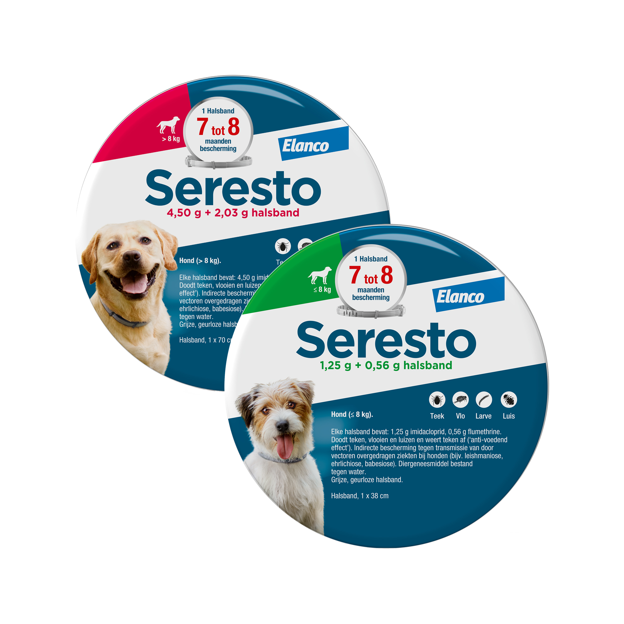 Seresto Hond