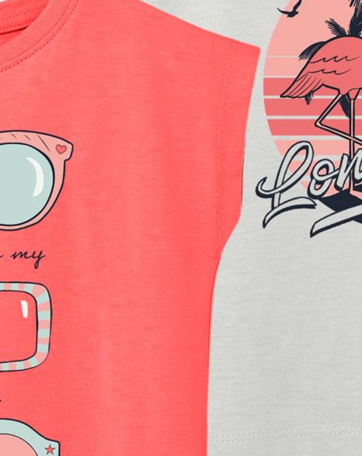 T-Shirt NMFVIOLET 2er-Pack in georgia peach