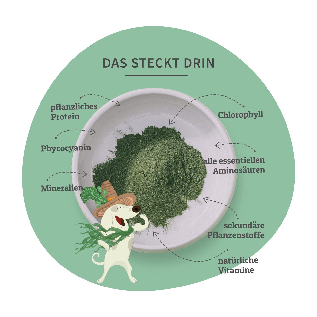 CURAPET Bio Nährstoffpulver für Haut und Fell mit Spirulina - BasisKraft 200g