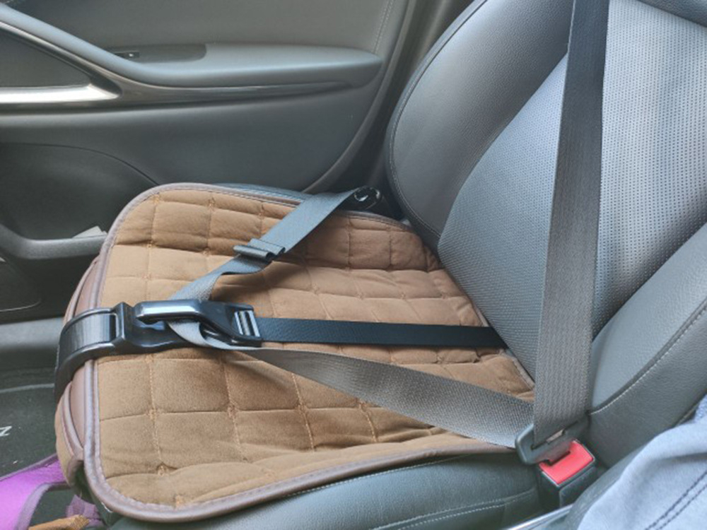 Universal Schwangerschafts Auto Gurt Baby Bauch - Schwarz