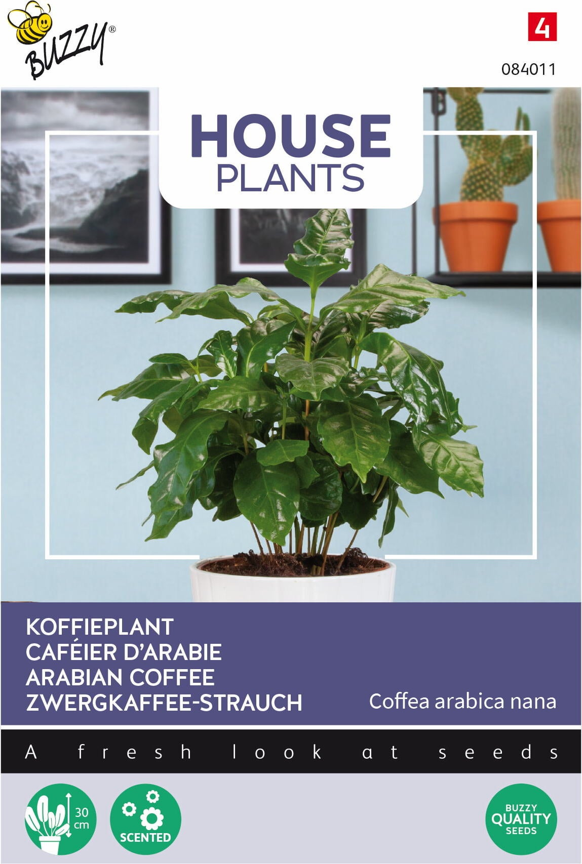 Buzzy House Plants kamerplantenzaad Koffieplant (Coffea arabica 'Nana')