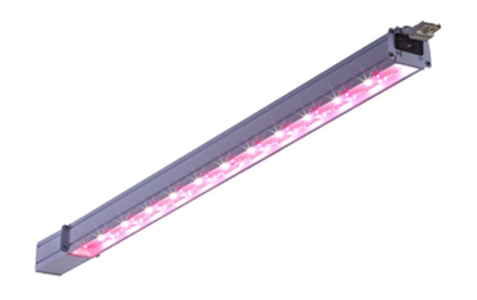 Aufbauleuchte Plantador 36W, 2800 lm, 1m, IP54, DALI, FS<br>LED Pflanzenleuchte