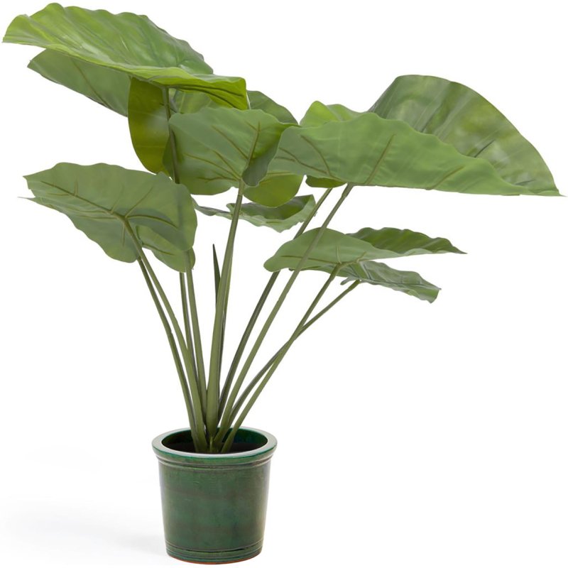 Plante artificielle Alocasia Odora avec pot noir 57 cm