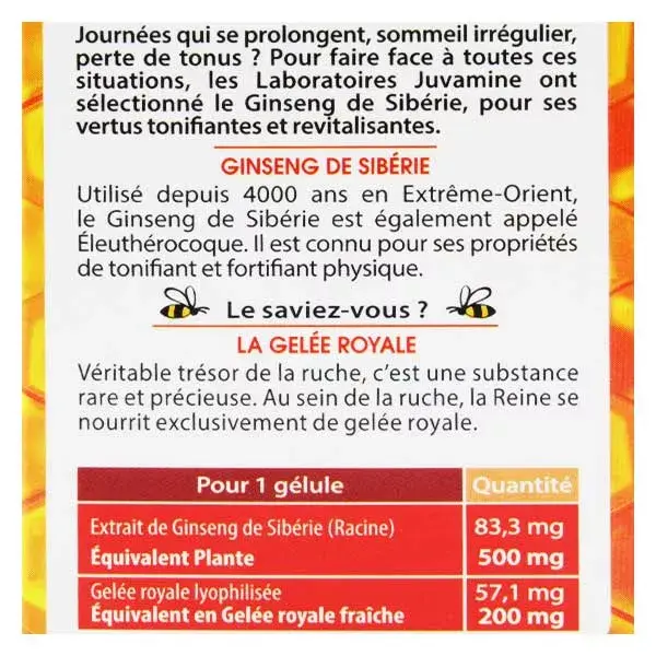 Juvamine Fortifiant Ginseng de Sibérie Gelée Royale 30 gélules