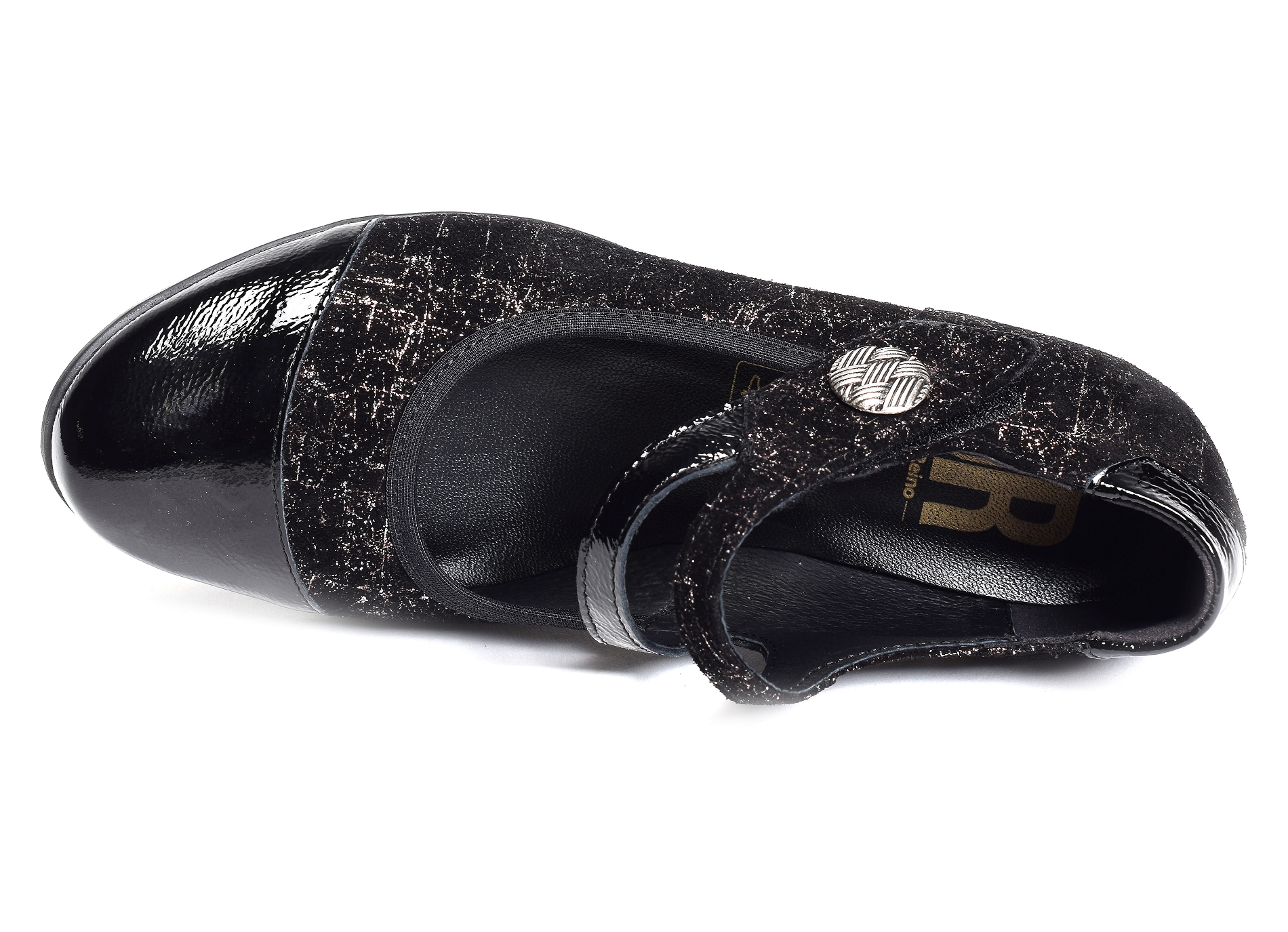 Canope noir
