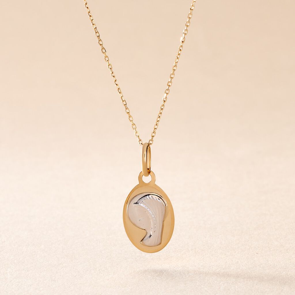 Pendentif Vierge Ovale Or Bicolore