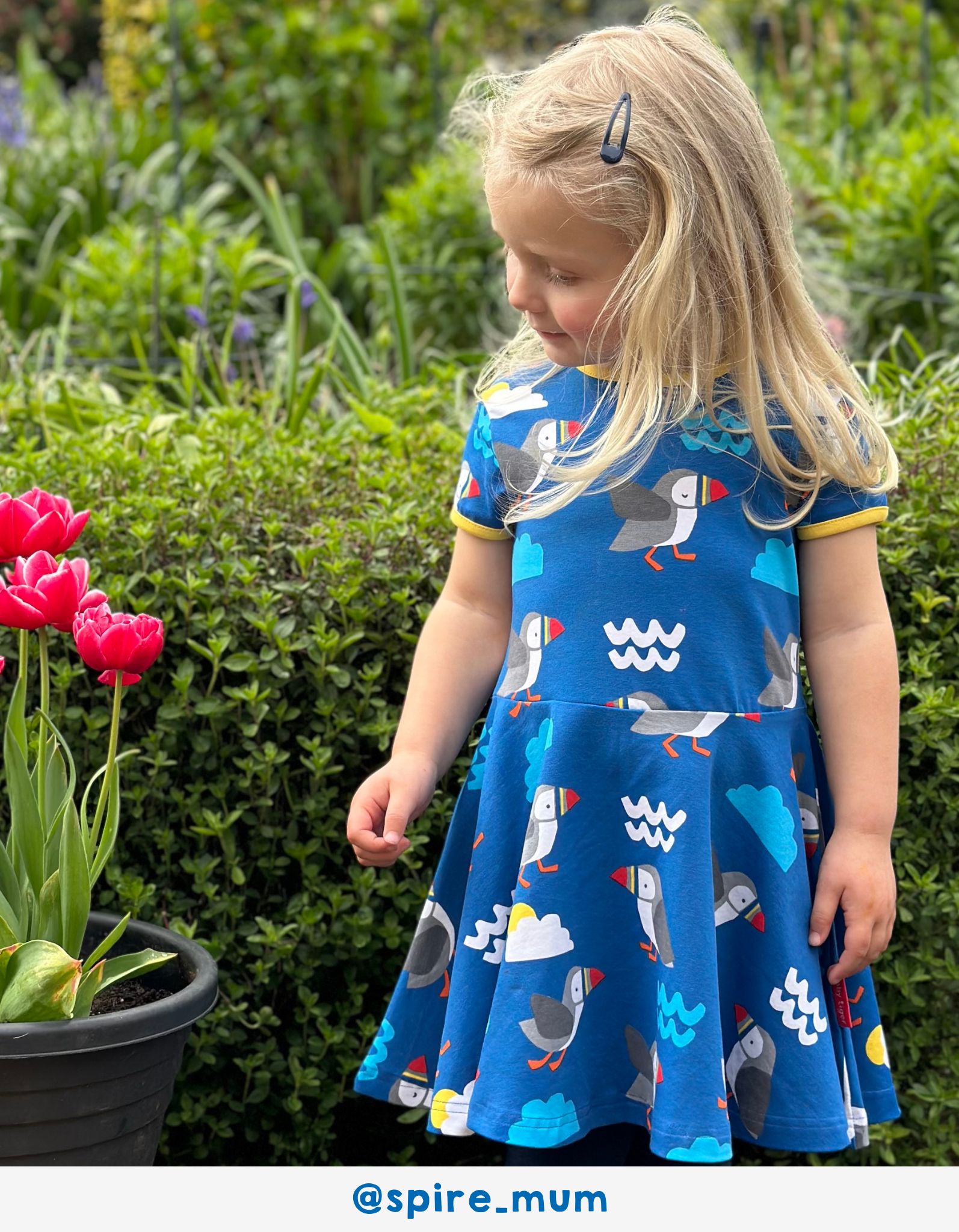 Toby Tiger Skaterkleid mit kurzen Ärmeln mit Papageientaucher-Print