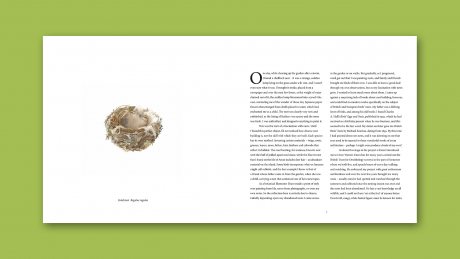 Nests (Hardback)