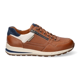 bradley  RANDY 6135/ne.1580/ve. 3669  HAZELNUT