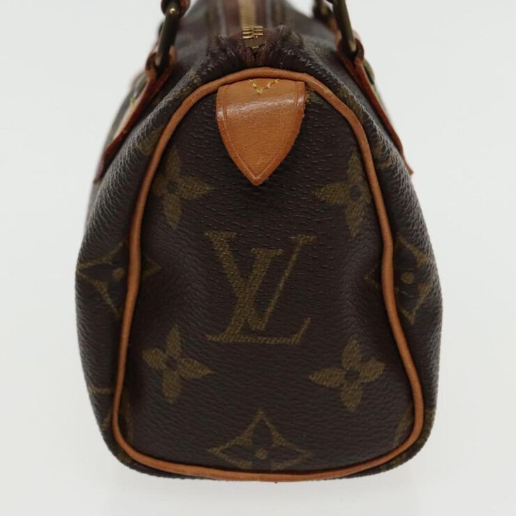Louis Vuitton Vintage Louis Vuitton Speedy Brown