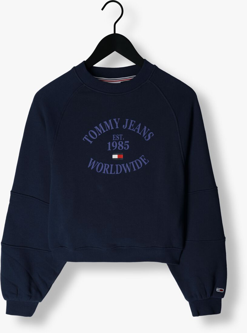 TOMMY JEANS donkerblauwe tommy jeans trui rlx worldwide raglan crew