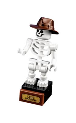 LEGO Dinosaurusfossielen (21320)