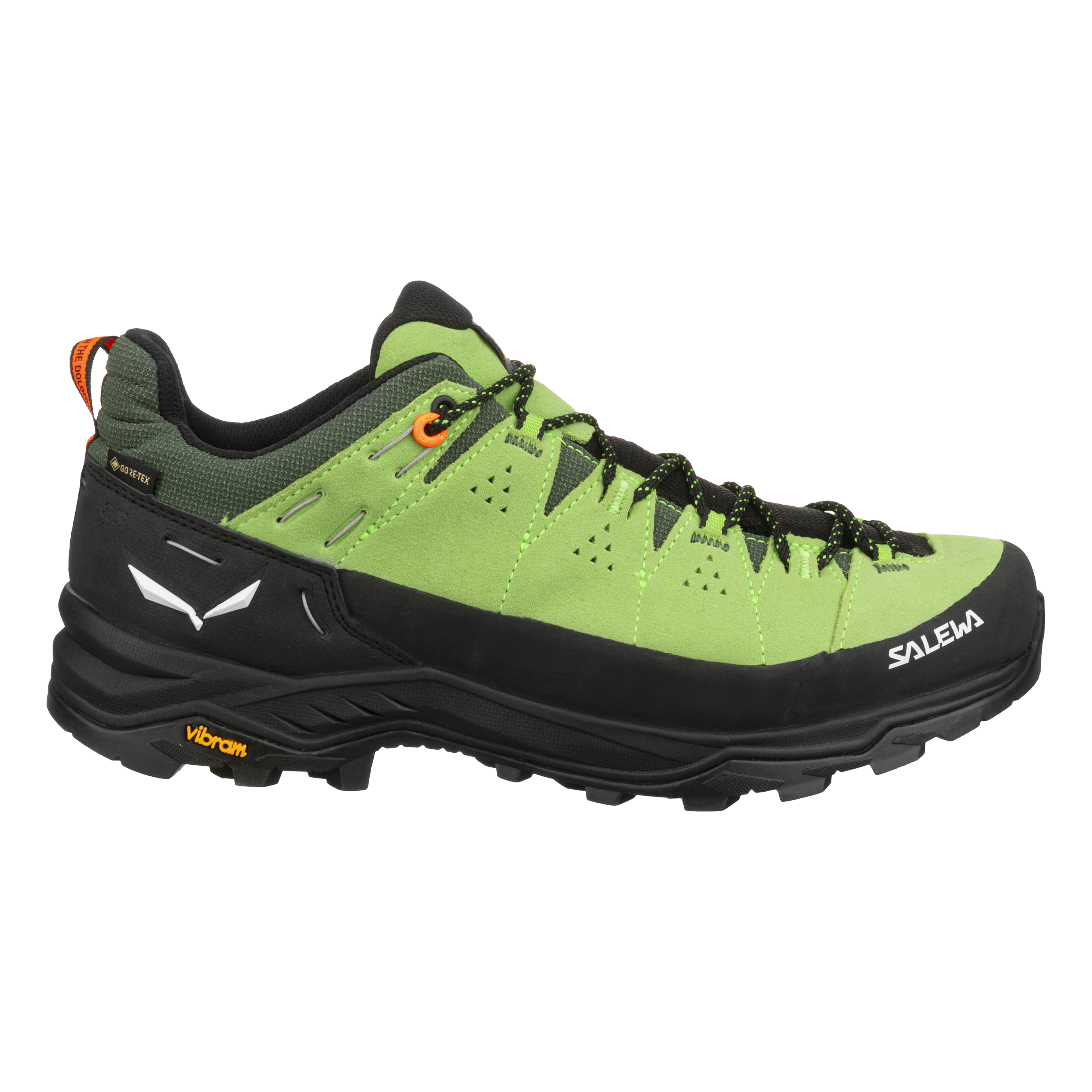 Alp Trainer 2 Gore-Tex® Schuh Herren