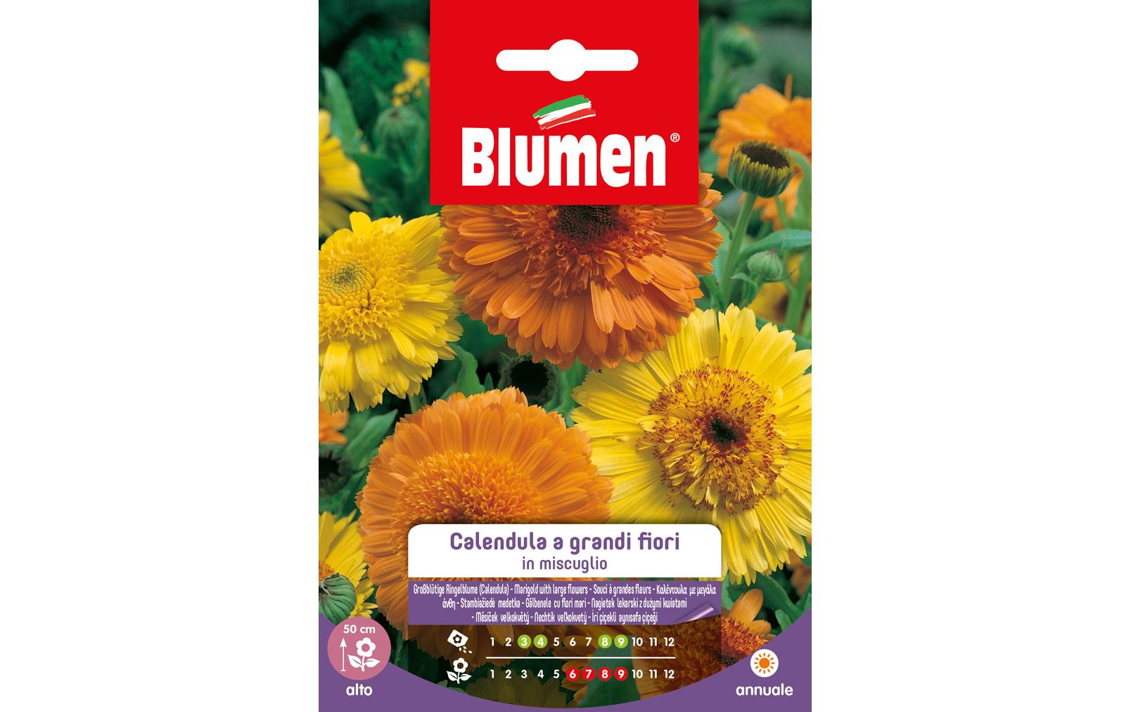 Saatgut Grossblütige Ringelblume MixBlumensamen