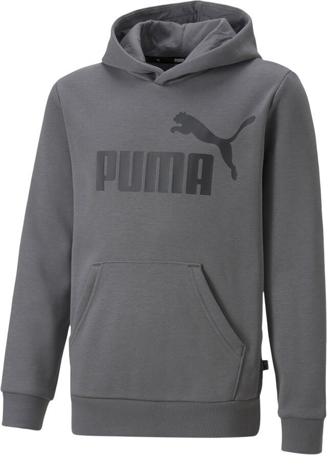 Puma Essentials Big Logo hættetrøje Grå