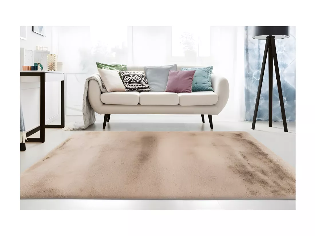 Tapis 150x80cm, design E009Y coloris beige - Confort et élégance pour votre intérieur