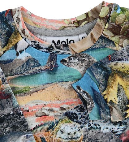 Molo Sweatshirt - Dag - Galapagos Wildlife
