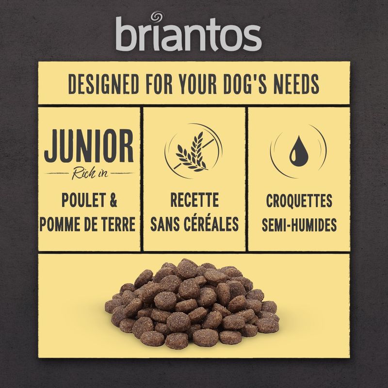 Briantos Junior poulet, pommes de terre - SANS CÉRÉALES pour chien