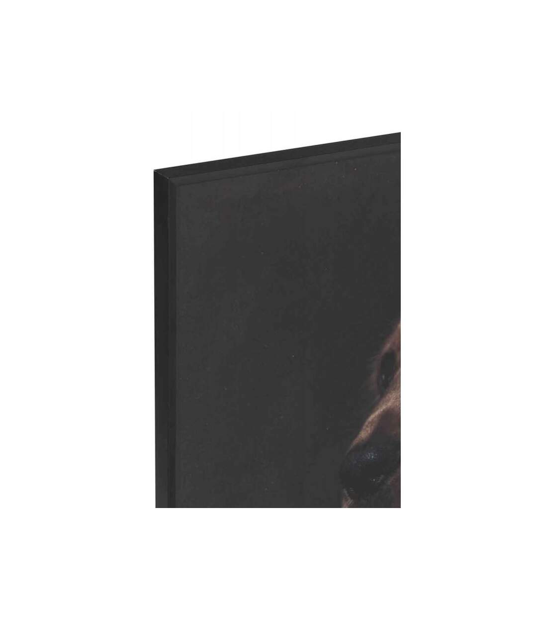 Paris Prix - Cadre Photo Déco chien Habillé 59x90cm Marron