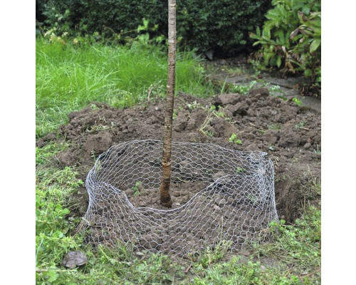 Woelmuisbeschermingsmand, verzinkt, klein, 35 x 40 cm, tegen wortelschade voor bomen, struiken, bollen en rozen, woelmuisbeschermingsnet, 100% plasticvrij