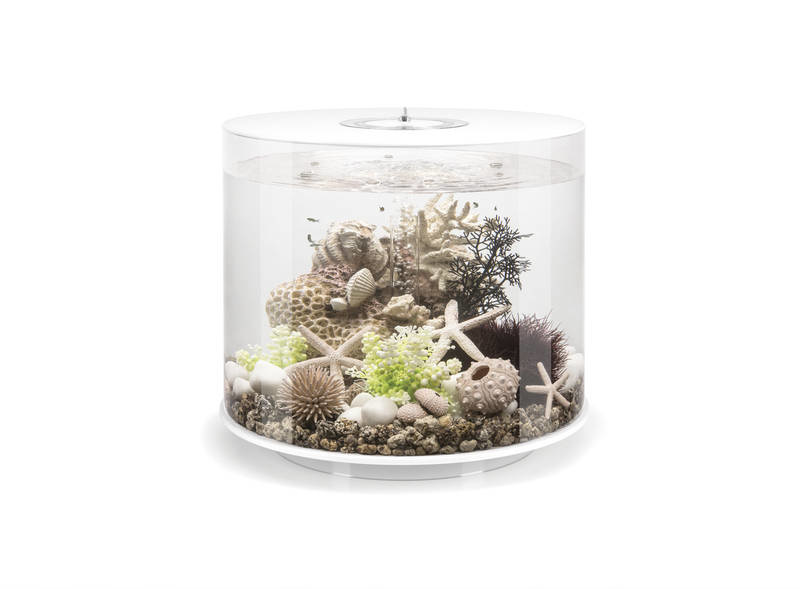 biOrb Tube 35 MCR Wit  | Aquarium