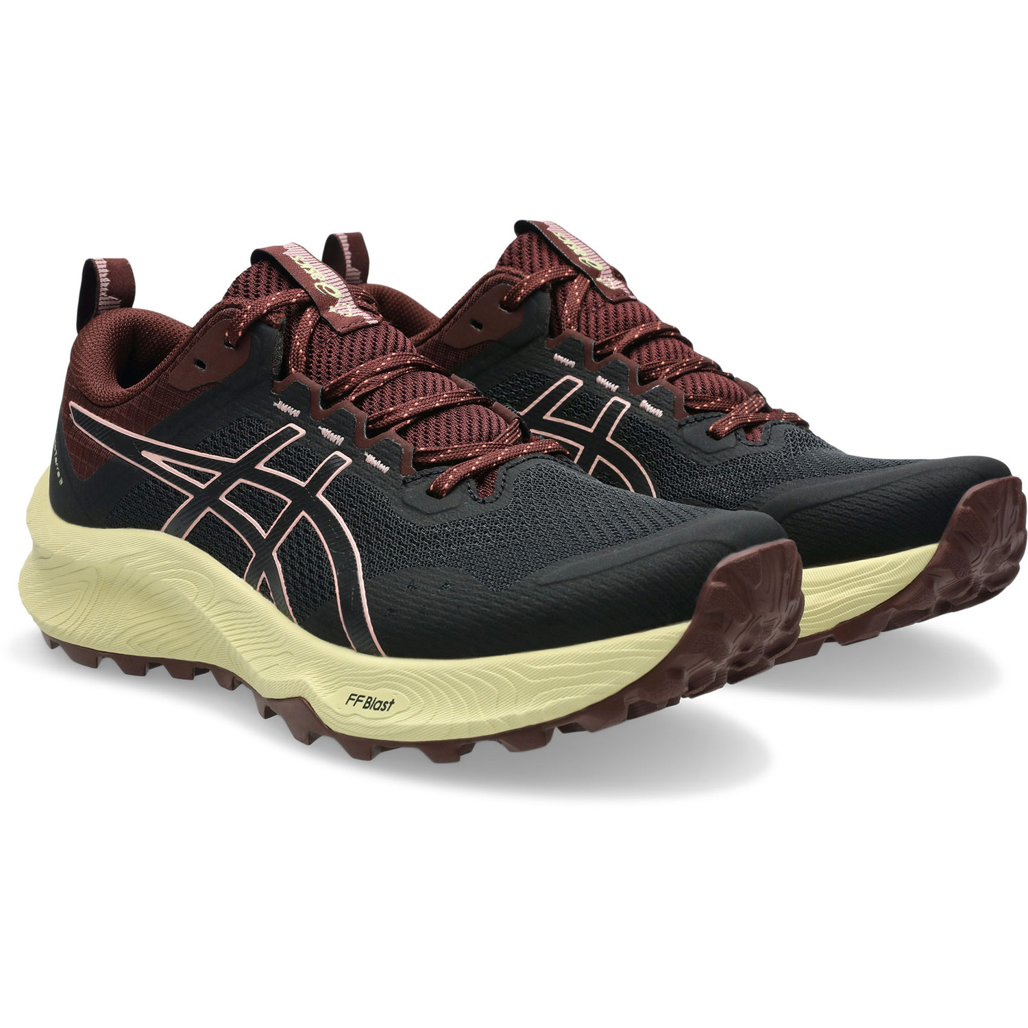 ASICS Trabuco Terra 3 Dames