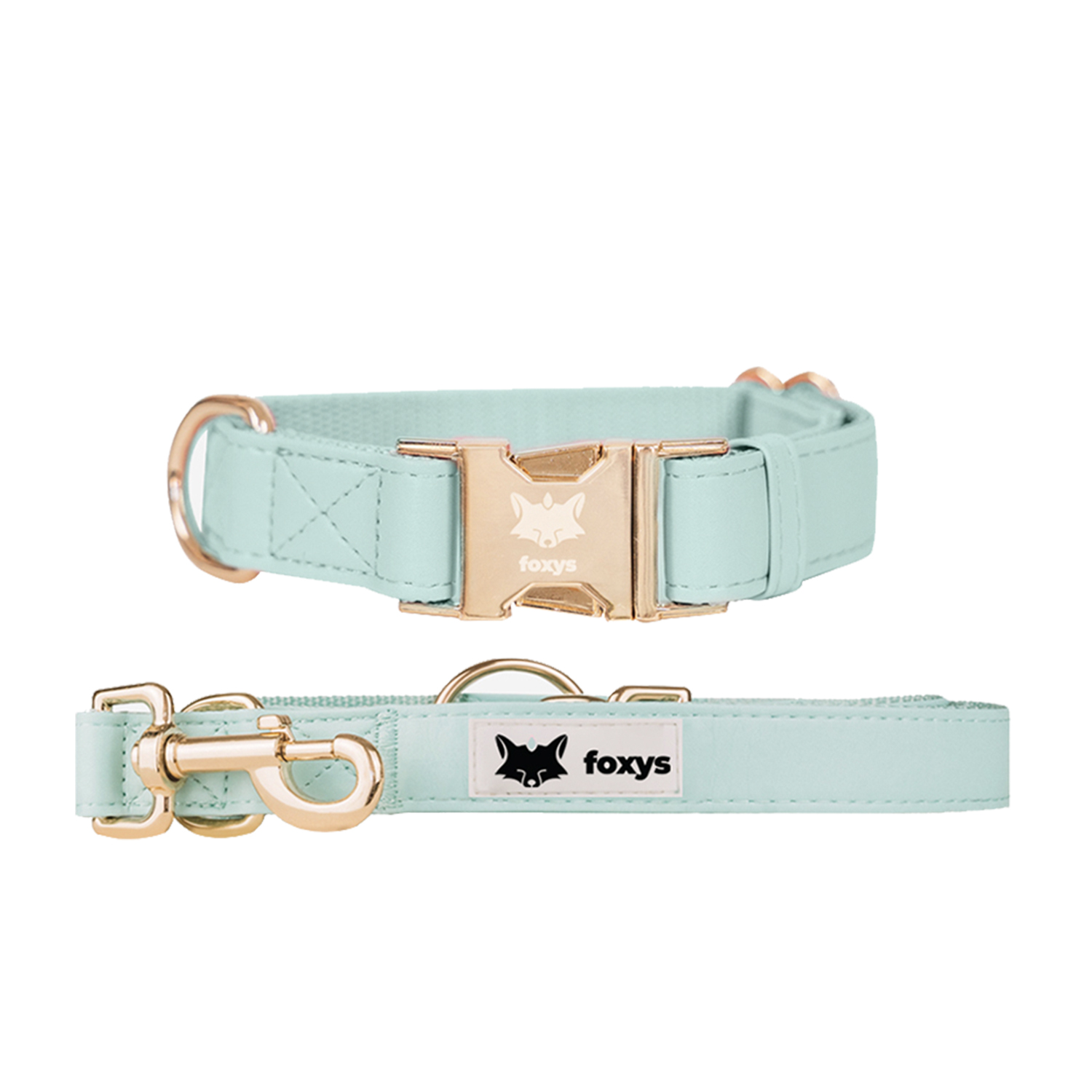 Kit de coleira e guia para cães CITYFOX™ AQUA