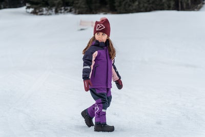 Didriksons Idre Overtrekksbukser, Royal Purple