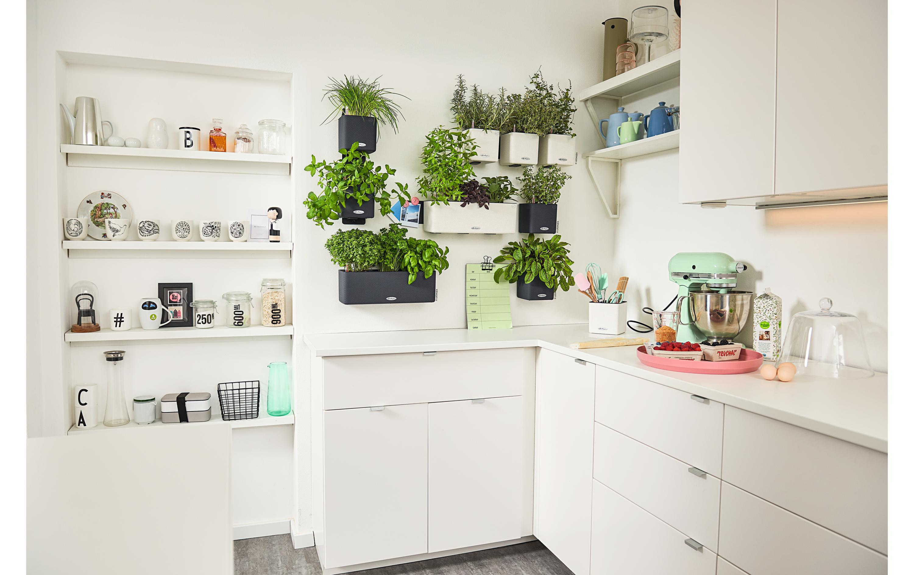 Blumentopf Green Wall Home Kit CO SchwarzTopf