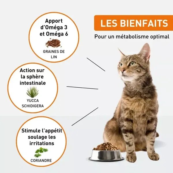 VetoNUT Chat Adulte 1kg