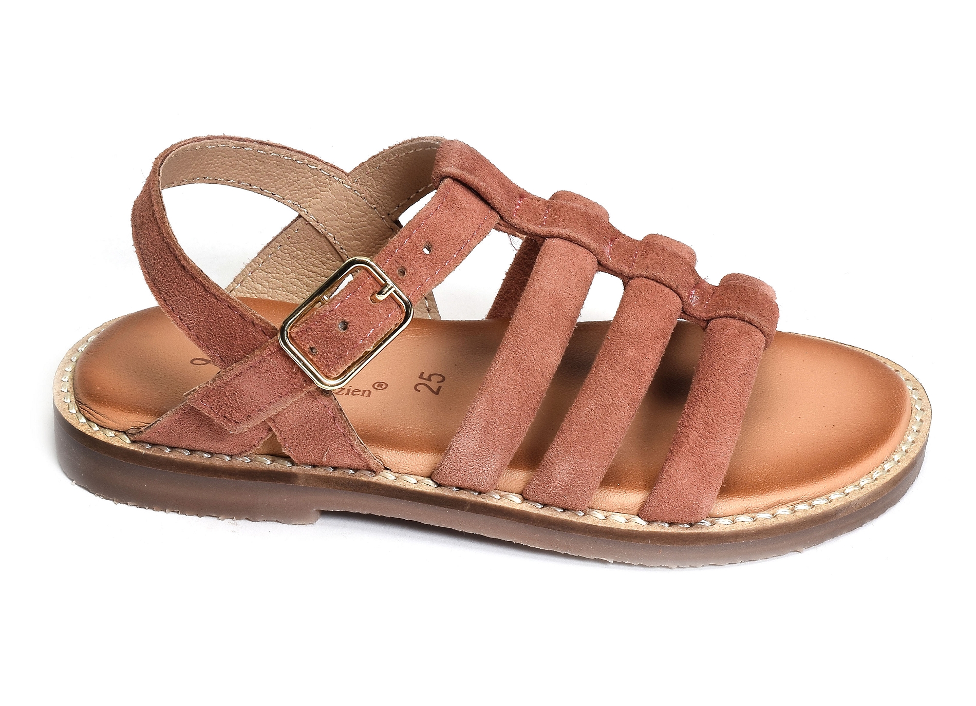 Sb108 rose