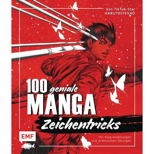 100 geniale Manga-Zeichentricks