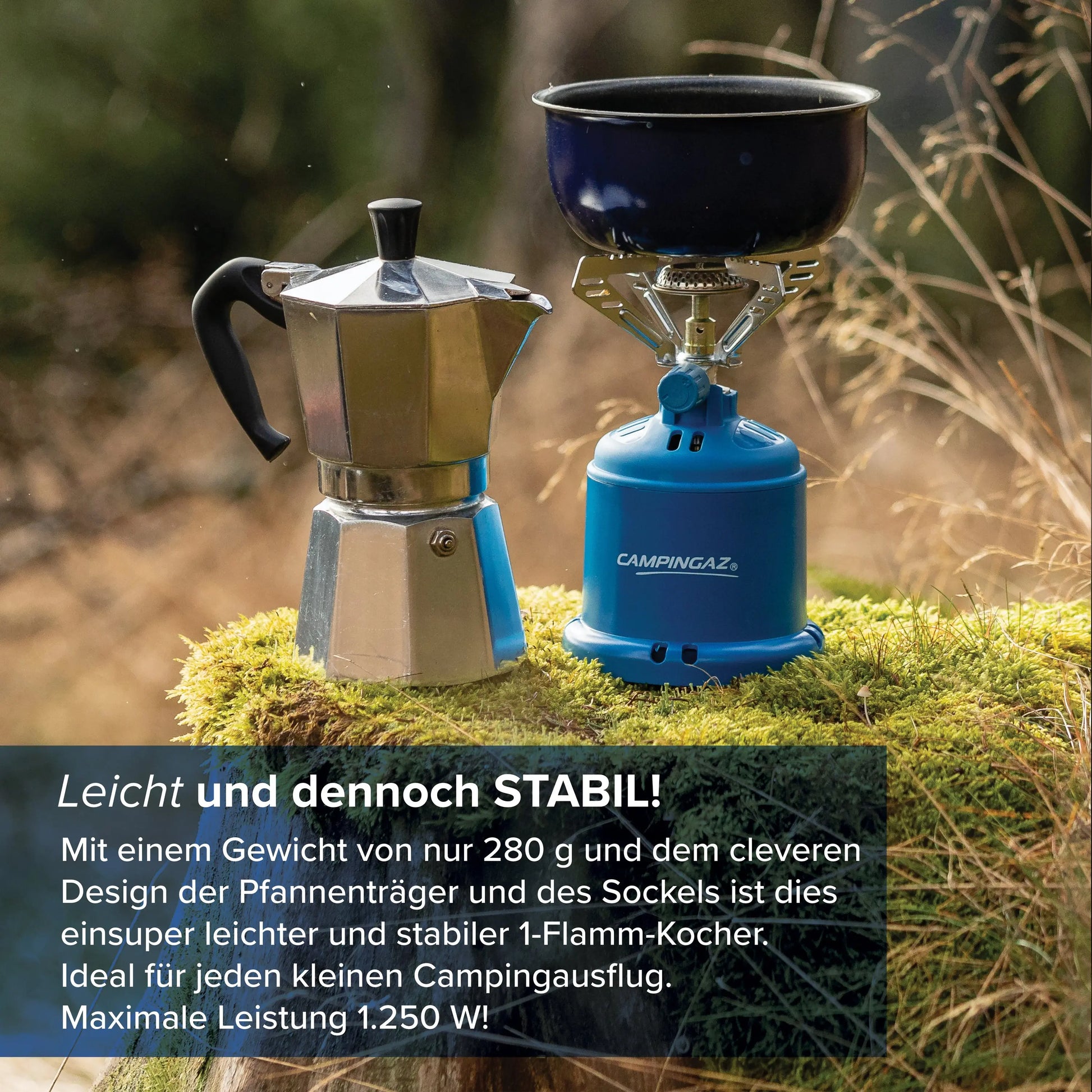 Camping 206 S